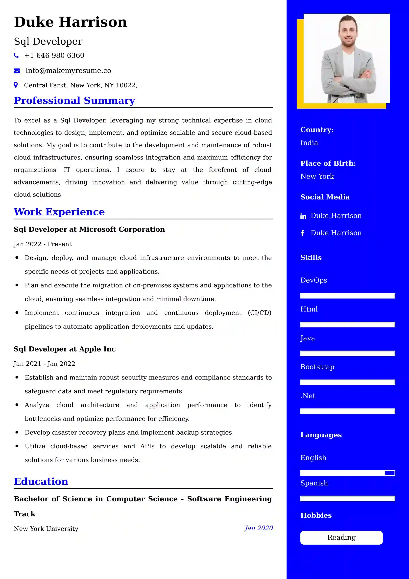 Sql Developer Resume Sample
